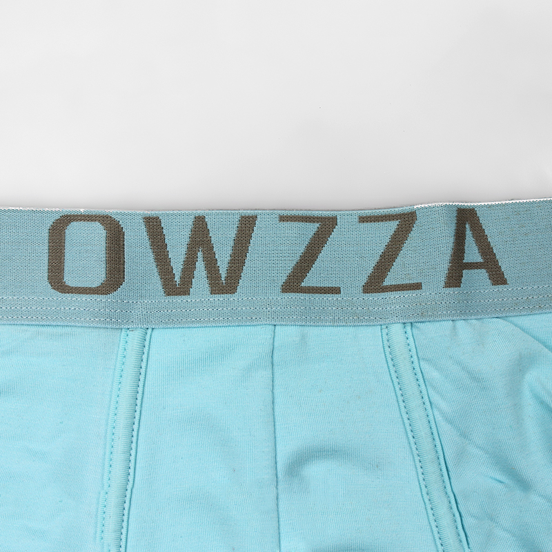 Combo 3 quần lót nam Owzza A0A09